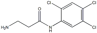 3-amino-N-(2,4,5-trichlorophenyl)propanamide 结构式