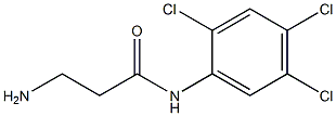 3-amino-N-(2,4,5-trichlorophenyl)propanamide|