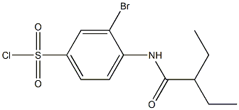 3-bromo-4-(2-ethylbutanamido)benzene-1-sulfonyl chloride