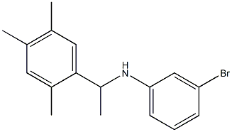 3-bromo-N-[1-(2,4,5-trimethylphenyl)ethyl]aniline 化学構造式