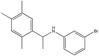 3-bromo-N-[1-(2,4,5-trimethylphenyl)ethyl]aniline 结构式