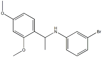 3-bromo-N-[1-(2,4-dimethoxyphenyl)ethyl]aniline Structure