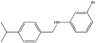 3-bromo-N-{[4-(propan-2-yl)phenyl]methyl}aniline 化学構造式