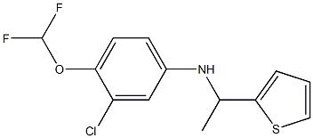 3-chloro-4-(difluoromethoxy)-N-[1-(thiophen-2-yl)ethyl]aniline 结构式