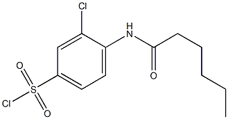 3-chloro-4-hexanamidobenzene-1-sulfonyl chloride