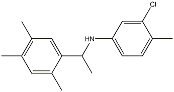 3-chloro-4-methyl-N-[1-(2,4,5-trimethylphenyl)ethyl]aniline Structure