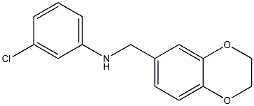 3-chloro-N-(2,3-dihydro-1,4-benzodioxin-6-ylmethyl)aniline 化学構造式