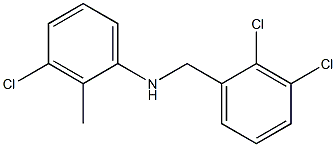 3-chloro-N-[(2,3-dichlorophenyl)methyl]-2-methylaniline Structure