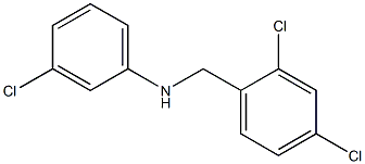 3-chloro-N-[(2,4-dichlorophenyl)methyl]aniline 结构式