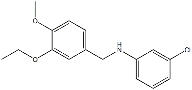 3-chloro-N-[(3-ethoxy-4-methoxyphenyl)methyl]aniline,,结构式
