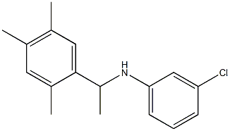  3-chloro-N-[1-(2,4,5-trimethylphenyl)ethyl]aniline