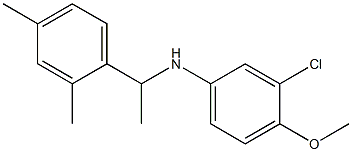 3-chloro-N-[1-(2,4-dimethylphenyl)ethyl]-4-methoxyaniline 结构式