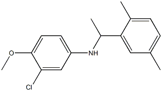 3-chloro-N-[1-(2,5-dimethylphenyl)ethyl]-4-methoxyaniline,,结构式