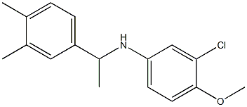 3-chloro-N-[1-(3,4-dimethylphenyl)ethyl]-4-methoxyaniline Structure