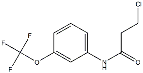 3-chloro-N-[3-(trifluoromethoxy)phenyl]propanamide,,结构式