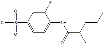 3-fluoro-4-(2-methylpentanamido)benzene-1-sulfonyl chloride