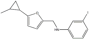 3-iodo-N-{[5-(2-methylcyclopropyl)furan-2-yl]methyl}aniline 结构式