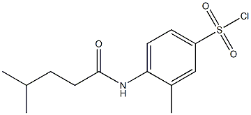 3-methyl-4-(4-methylpentanamido)benzene-1-sulfonyl chloride,,结构式