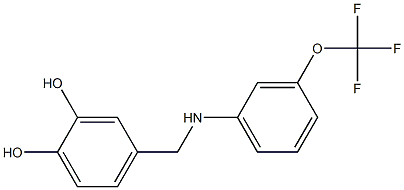 4-({[3-(trifluoromethoxy)phenyl]amino}methyl)benzene-1,2-diol