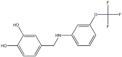 4-({[3-(trifluoromethoxy)phenyl]amino}methyl)benzene-1,2-diol 化学構造式