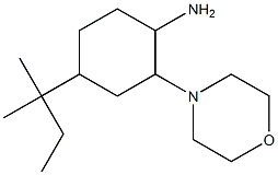 4-(1,1-dimethylpropyl)-2-morpholin-4-ylcyclohexanamine Structure