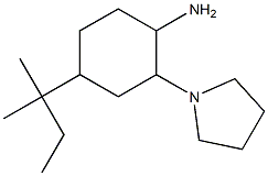 4-(2-methylbutan-2-yl)-2-(pyrrolidin-1-yl)cyclohexan-1-amine