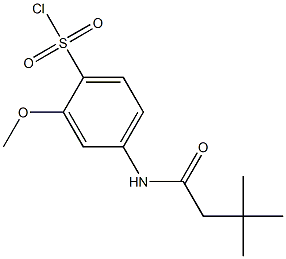 4-(3,3-dimethylbutanamido)-2-methoxybenzene-1-sulfonyl chloride