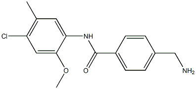 4-(aminomethyl)-N-(4-chloro-2-methoxy-5-methylphenyl)benzamide