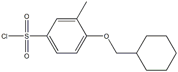 4-(cyclohexylmethoxy)-3-methylbenzenesulfonyl chloride Structure