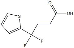 4,4-difluoro-4-(thiophen-2-yl)butanoic acid 结构式