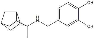 4-{[(1-{bicyclo[2.2.1]heptan-2-yl}ethyl)amino]methyl}benzene-1,2-diol,,结构式
