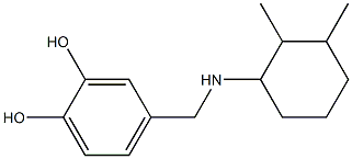 4-{[(2,3-dimethylcyclohexyl)amino]methyl}benzene-1,2-diol 结构式