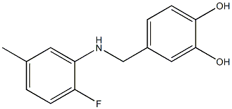 4-{[(2-fluoro-5-methylphenyl)amino]methyl}benzene-1,2-diol