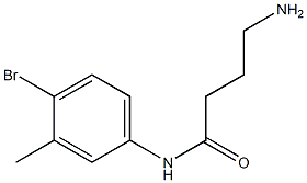 4-amino-N-(4-bromo-3-methylphenyl)butanamide 结构式