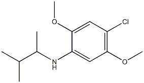 4-chloro-2,5-dimethoxy-N-(3-methylbutan-2-yl)aniline Struktur