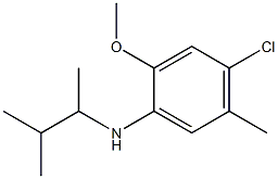 4-chloro-2-methoxy-5-methyl-N-(3-methylbutan-2-yl)aniline,,结构式