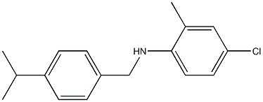 4-chloro-2-methyl-N-{[4-(propan-2-yl)phenyl]methyl}aniline 化学構造式