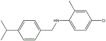 4-chloro-2-methyl-N-{[4-(propan-2-yl)phenyl]methyl}aniline,,结构式