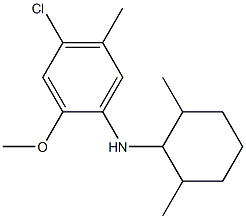 4-chloro-N-(2,6-dimethylcyclohexyl)-2-methoxy-5-methylaniline