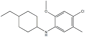 4-chloro-N-(4-ethylcyclohexyl)-2-methoxy-5-methylaniline