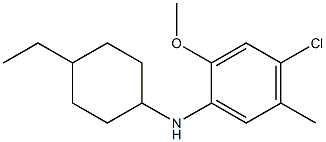  4-chloro-N-(4-ethylcyclohexyl)-2-methoxy-5-methylaniline