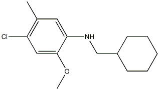 4-chloro-N-(cyclohexylmethyl)-2-methoxy-5-methylaniline Structure