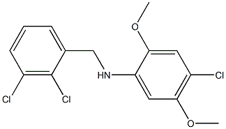 4-chloro-N-[(2,3-dichlorophenyl)methyl]-2,5-dimethoxyaniline,,结构式