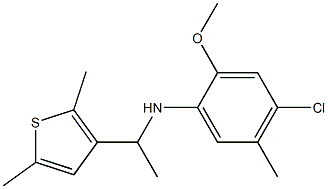 4-chloro-N-[1-(2,5-dimethylthiophen-3-yl)ethyl]-2-methoxy-5-methylaniline 结构式