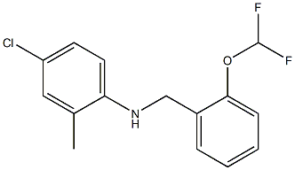 4-chloro-N-{[2-(difluoromethoxy)phenyl]methyl}-2-methylaniline 结构式