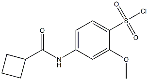 4-cyclobutaneamido-2-methoxybenzene-1-sulfonyl chloride