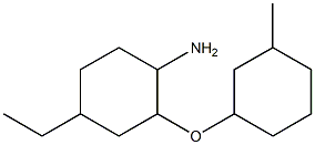 4-ethyl-2-[(3-methylcyclohexyl)oxy]cyclohexan-1-amine 结构式