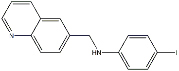 4-iodo-N-(quinolin-6-ylmethyl)aniline,,结构式