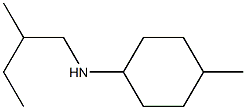 4-methyl-N-(2-methylbutyl)cyclohexan-1-amine