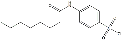 4-octanamidobenzene-1-sulfonyl chloride 结构式